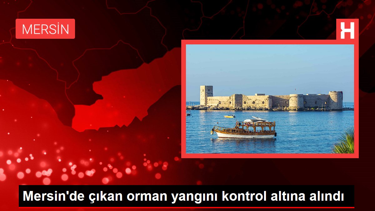 Son dakika haberi | Mersin'de çıkan orman yangını kontrol altına alındı