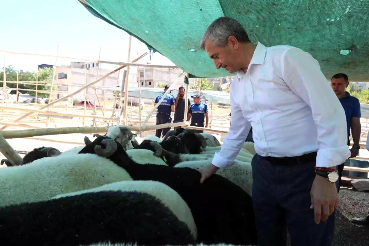 Şahinbey\'de kurban satış ve kesim yerleri belirlendi