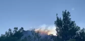 Son dakika haberleri! Sarısu mevkiinde orman yangını meydana geldi