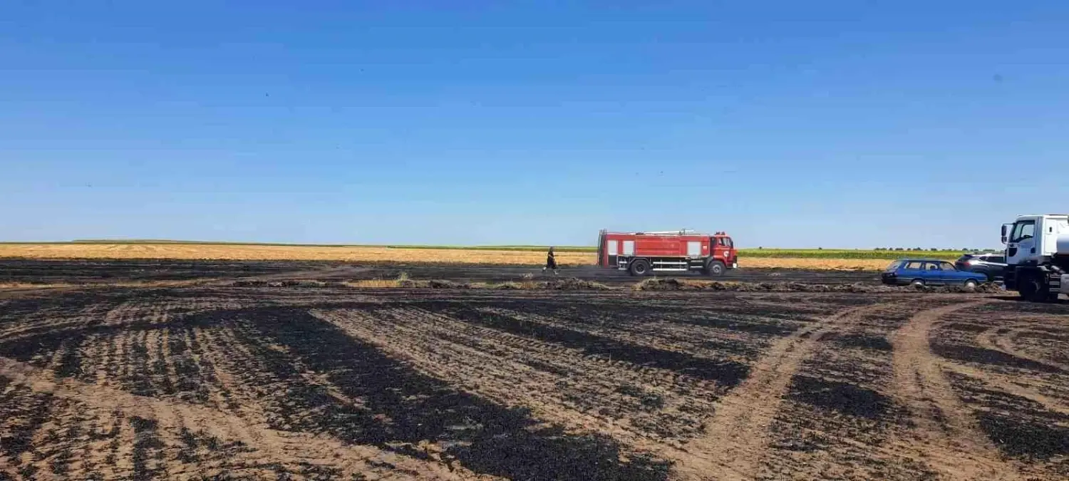 Tekirdağ\'da 130 dönüm arazi kül oldu