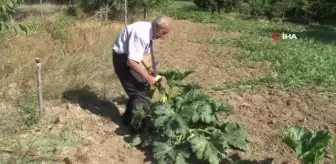 25 yıldır elektriksiz yaşadı, İHA'nın haberiyle ekipler harekete geçti