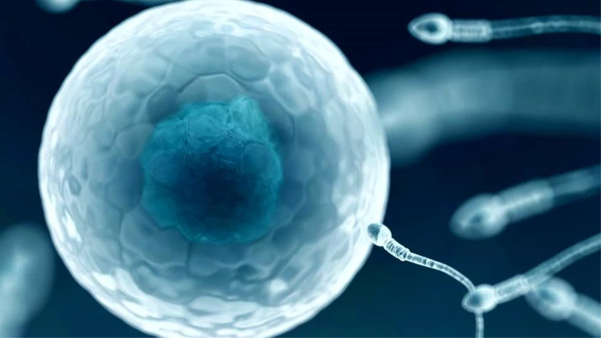 41 kadının doğurganlık tedavisinde kendi spermini kullanan jinekoloğun \'genetik bozukluğu olduğu ortaya çıktı\'