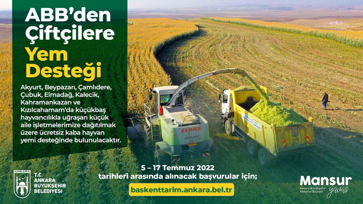 Ankara Büyükşehir'den Hayvan Yetiştiricilerine Ücretsiz Yem Desteği