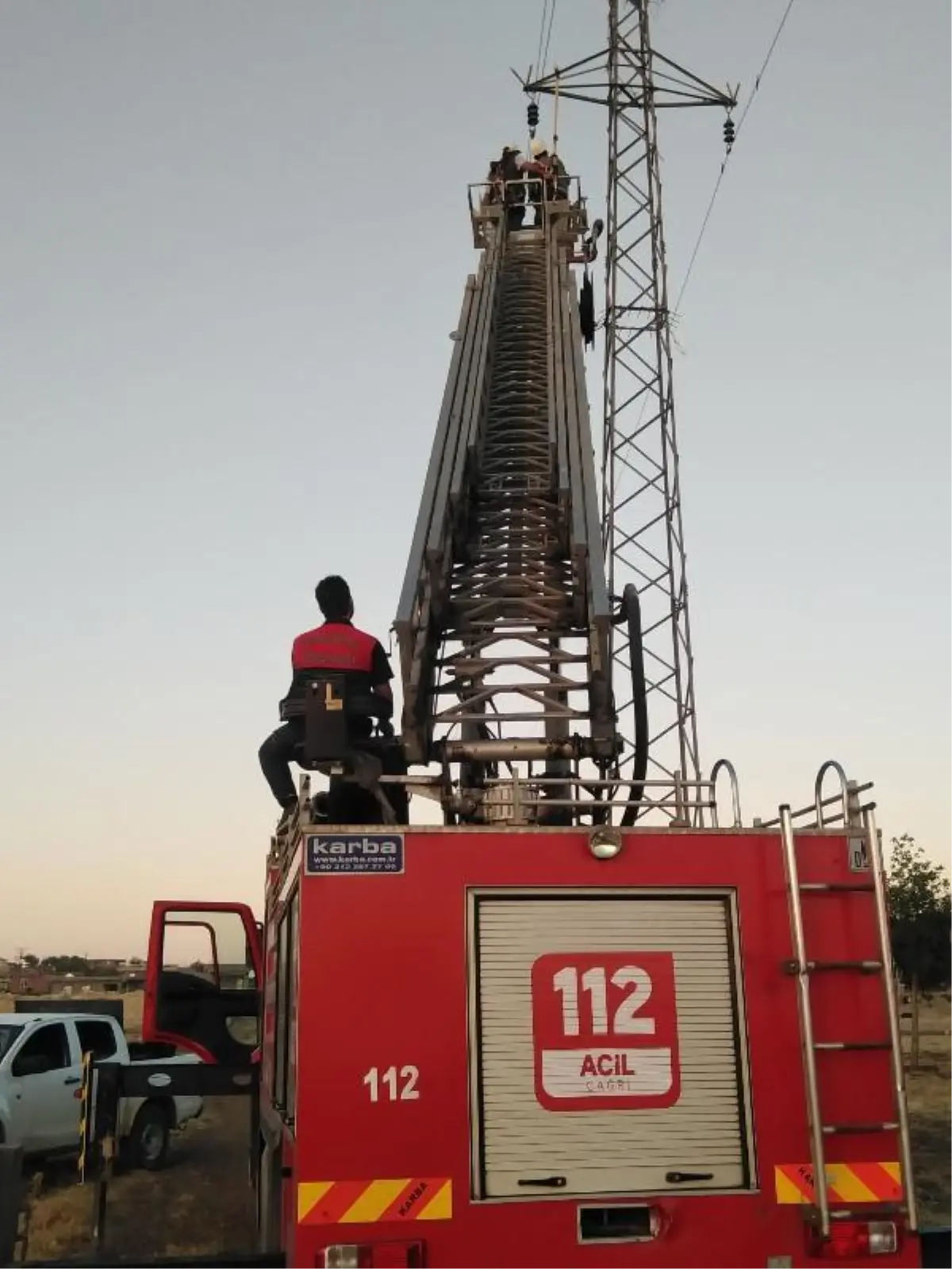 Anneleri ölen yavru leylekler korumaya alındı