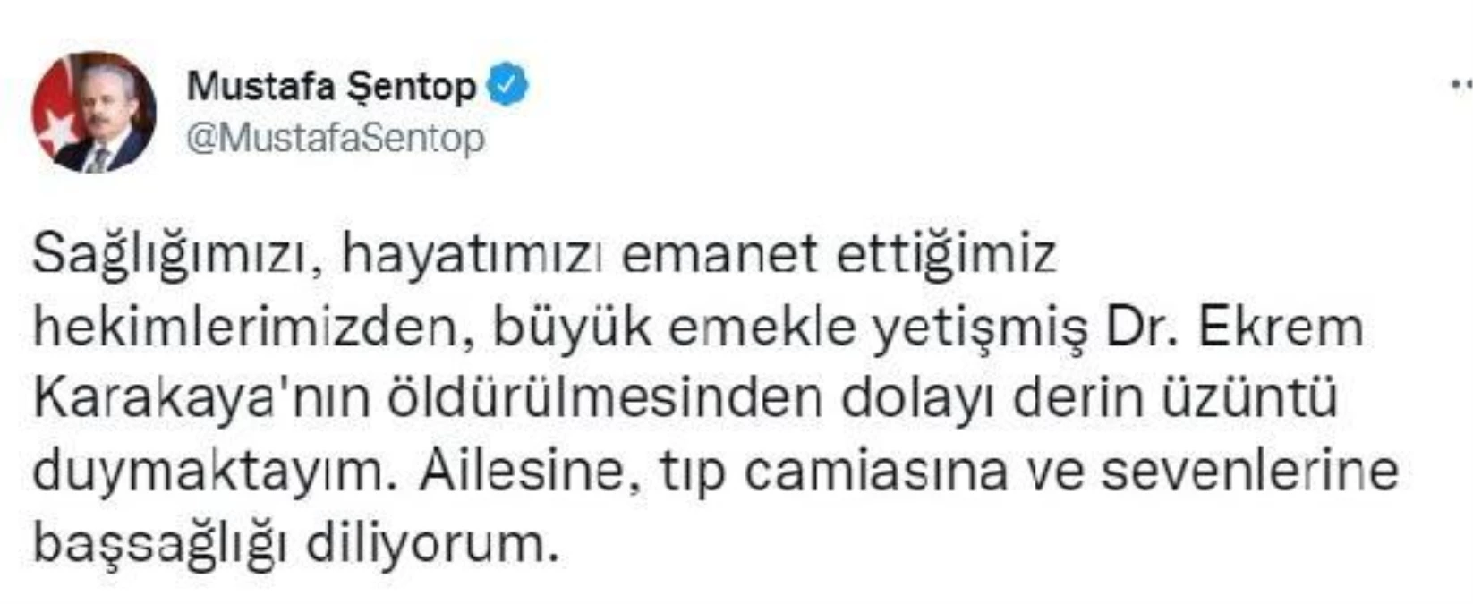 Annesinin yaşamını yitirmesinden sorumlu tuttuğu doktoru öldürüp, intihar etti (8)