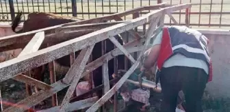Son dakika haberleri: Başı korkuluklara sıkışan kurbanlık düveyi itfaiyeciler kurtardı
