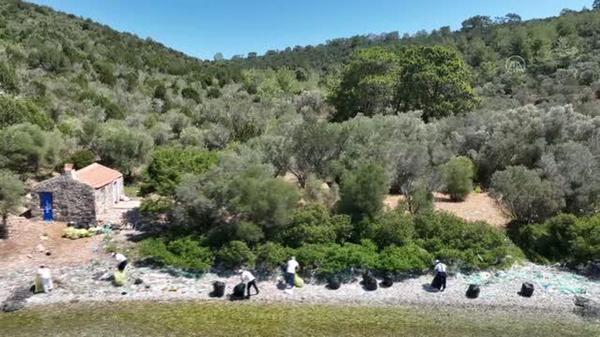 Bodrum'da kıyı ve dip temizliği etkinliği yapıldı