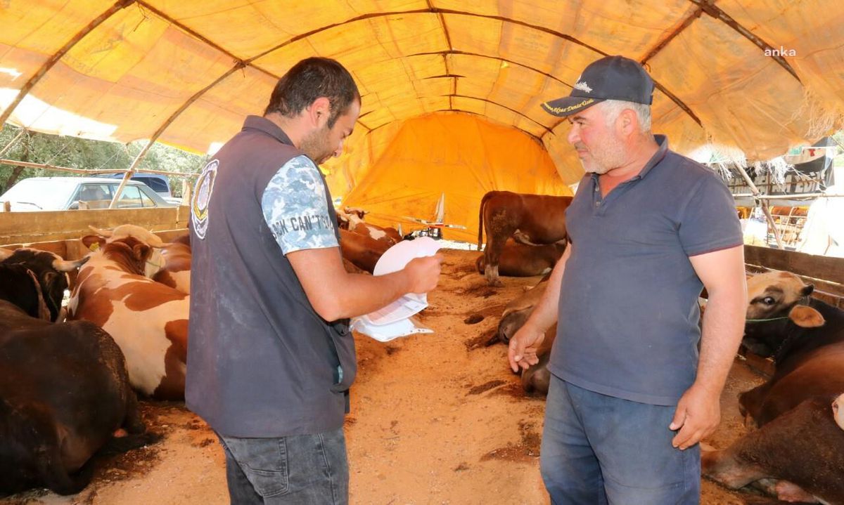 Çankaya Belediyesi, Kurban Bayramı Hazırlıklarını Tamamladı