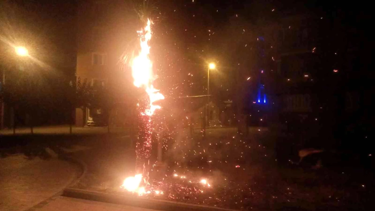 Son dakika haberi: Çocukların ateşle oyunu ağacı tutuşturdu