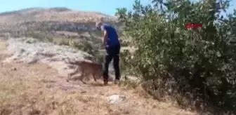 DİYARBAKIR'DA, KAYIP ŞİZOFRENİ HASTASI İÇİN ARAMA ÇALIŞMASI BAŞLATILDI