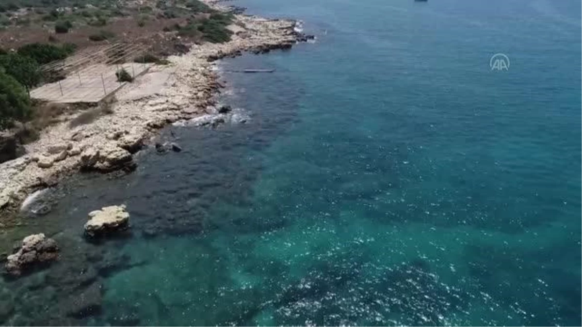 Doğu Akdeniz\'de gönüllü dalgıçlar, su altını atıklardan arındırıyor