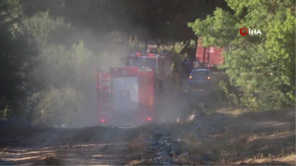 Son Dakika | Edirne\'de orman yangını kontrol altına alındı