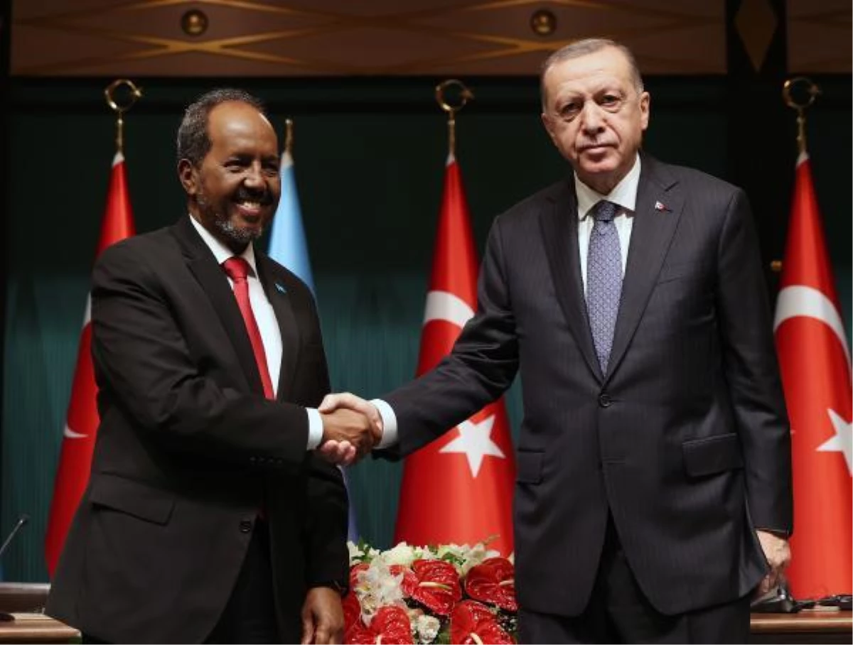 Erdoğan: Afrika\'daki tüm kardeşlerimizle iş birliğimizi artırmaya gayret ediyoruz