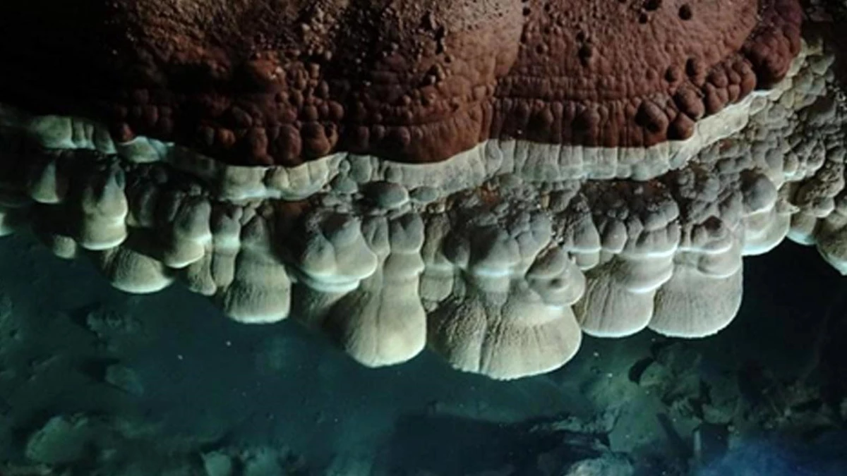 Jeologlar, Çin\'in Güneyindeki Guangxi\'de Ender Görülen "Mağara Bulutu" Buldu