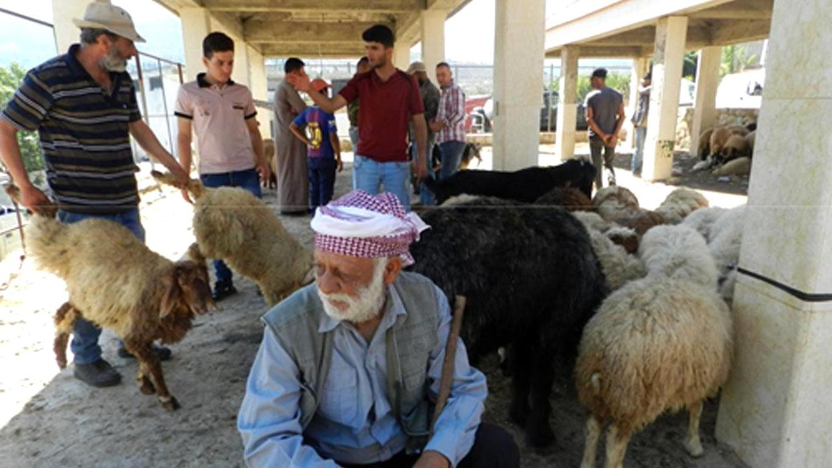 Lübnan\'daki Kurban Pazarında Bayram Alışverişi