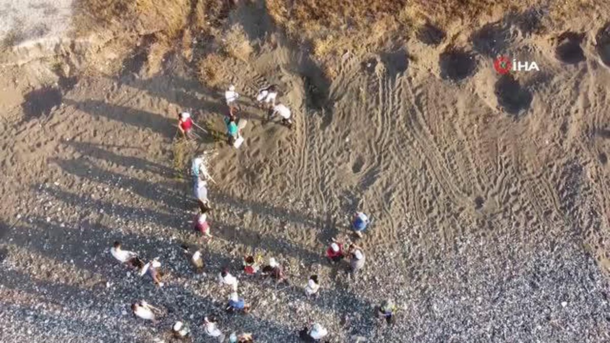 Mersin'de 4 bine yakın Caretta Caretta yuvası tespit edildi