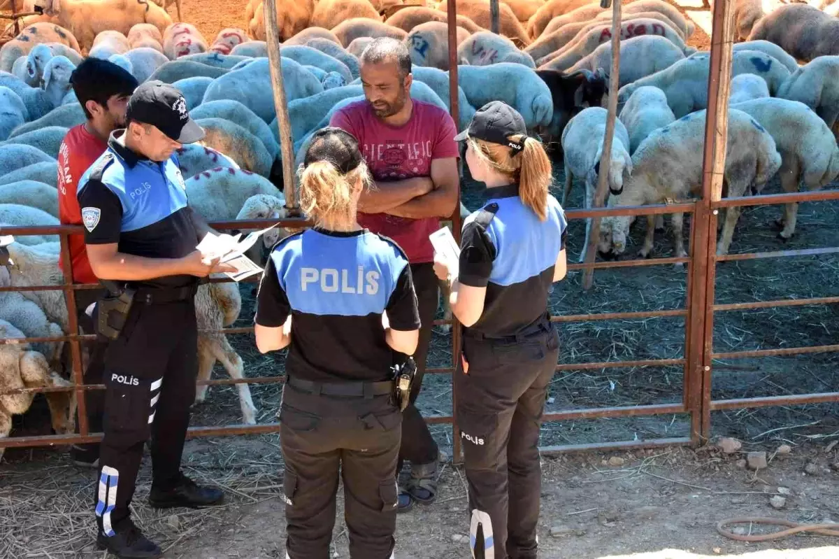 Mersin\'de hayvan satıcıları dolandırıcılara karşı bilgilendiriyor