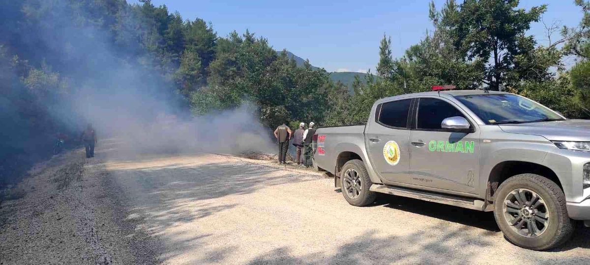 Osmaneli'de ormanlık alanda çıkan yangın söndürüldü
