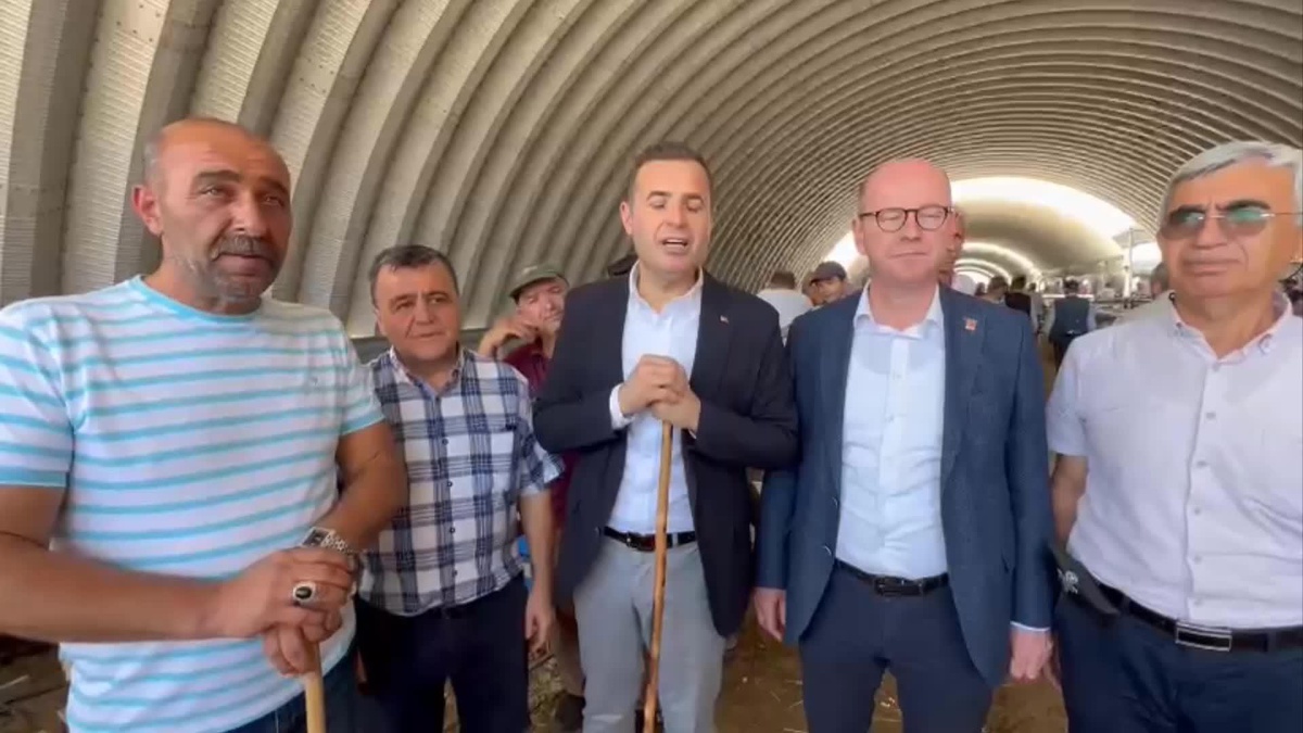 Balıkesirli Besici: Bazı Şeylerin Değişmesi Lazım Artık. Padişahlık Sistemi Değil Bu