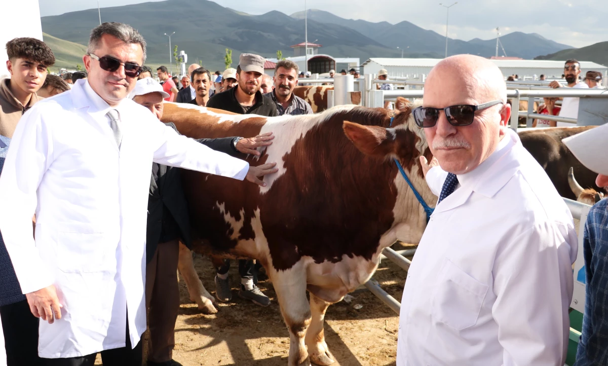 Erzurum Valisi Memiş, "Avrupa\'nın en büyük canlı hayvan pazarında" incelemelerde bulundu