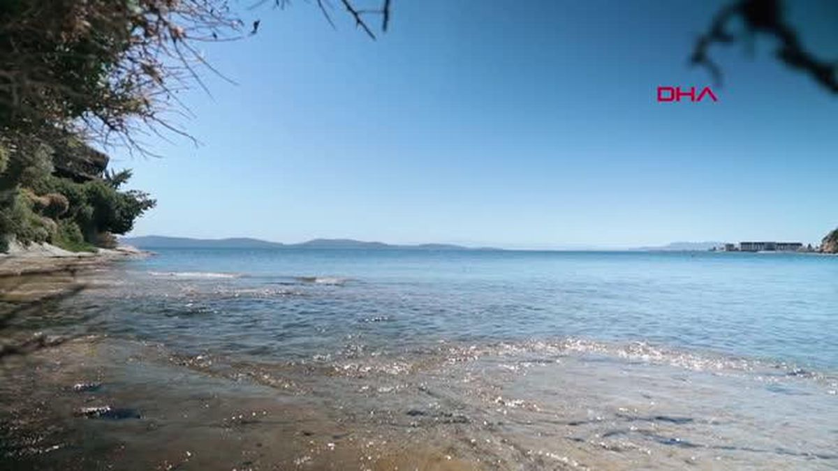 KARABURUN'UN ILDIR KÖRFEZİ'NDEKİ BİYOÇEŞİTLİLİĞİ GELECEĞE TAŞIYACAK PROJE
