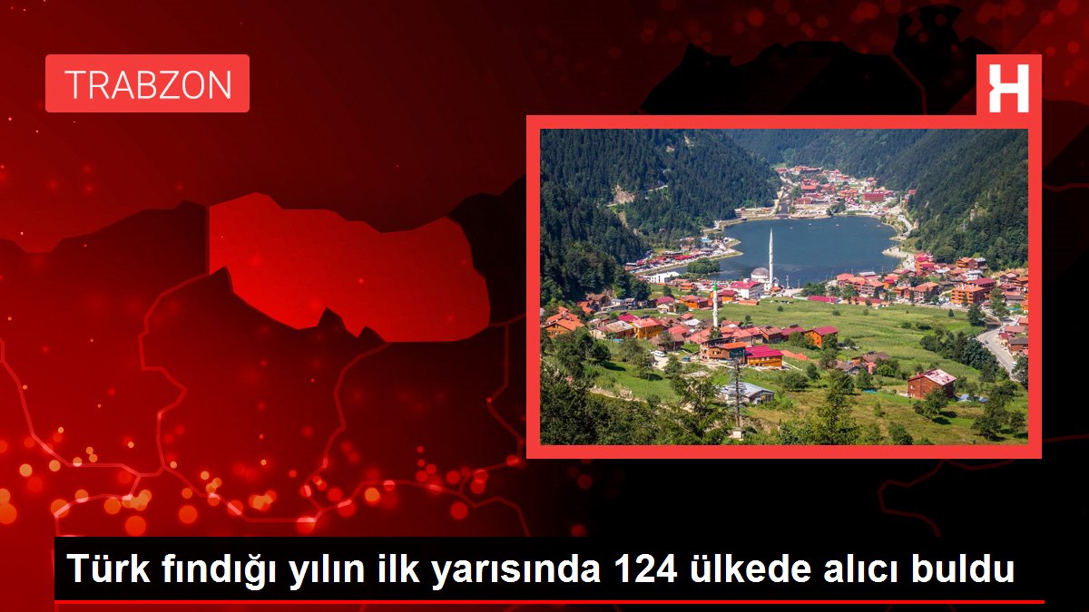 Türk fındığı yılın ilk yarısında 124 ülkede alıcı buldu