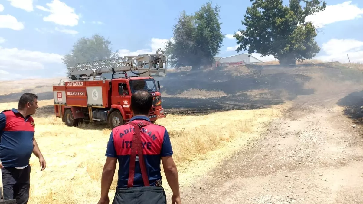 Son dakika haberi! Anız yangınında ağaçlar zarar gördü