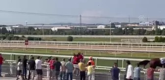 Son dakika haberi... At yarışları sırasında kavga çıktı