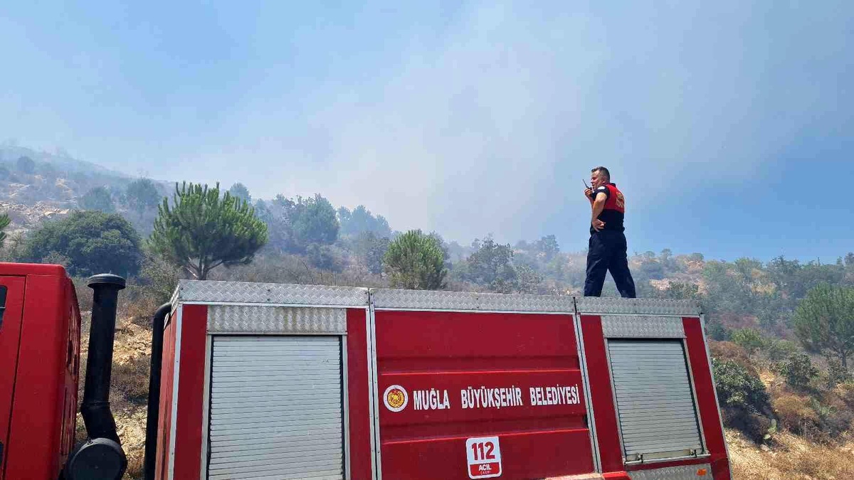 Son dakika! Tarım arazisi ve makilik alanda çıkan yangın söndürüldü