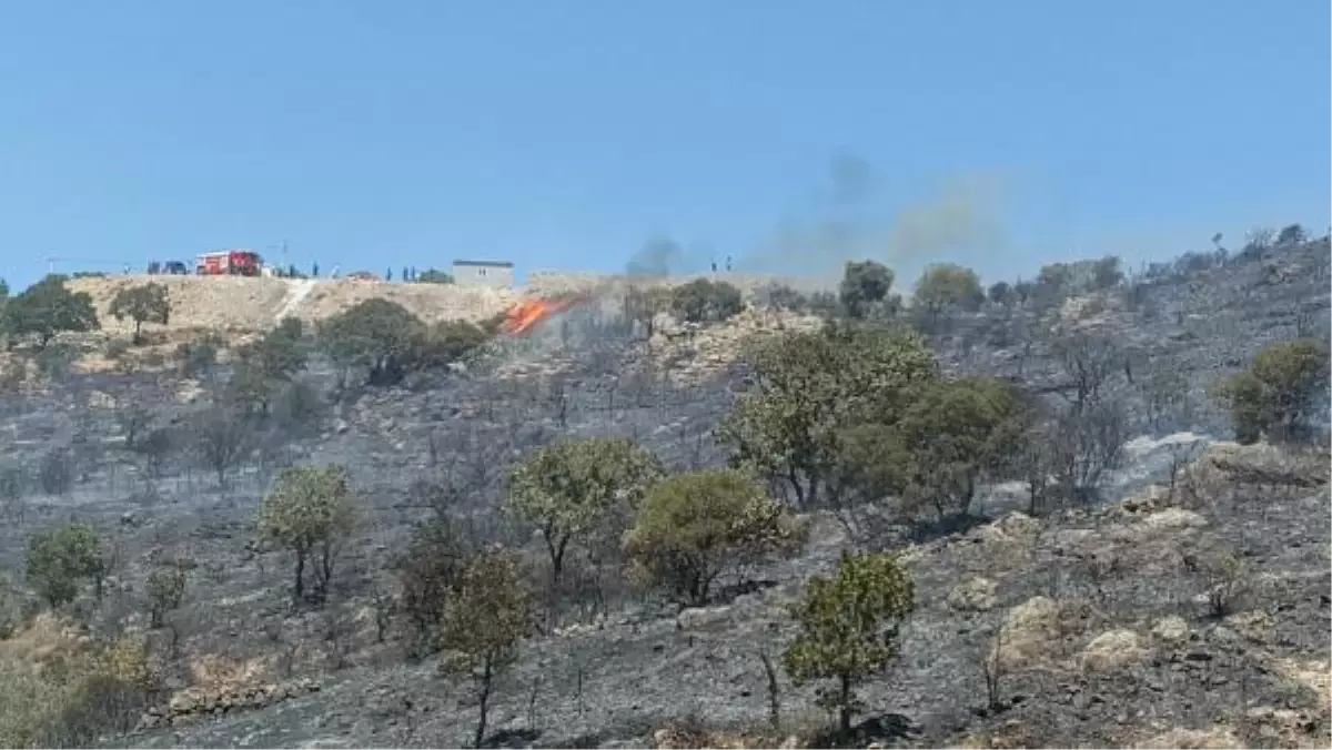 Son dakika haberleri... Bodrum\'da makilik yangını