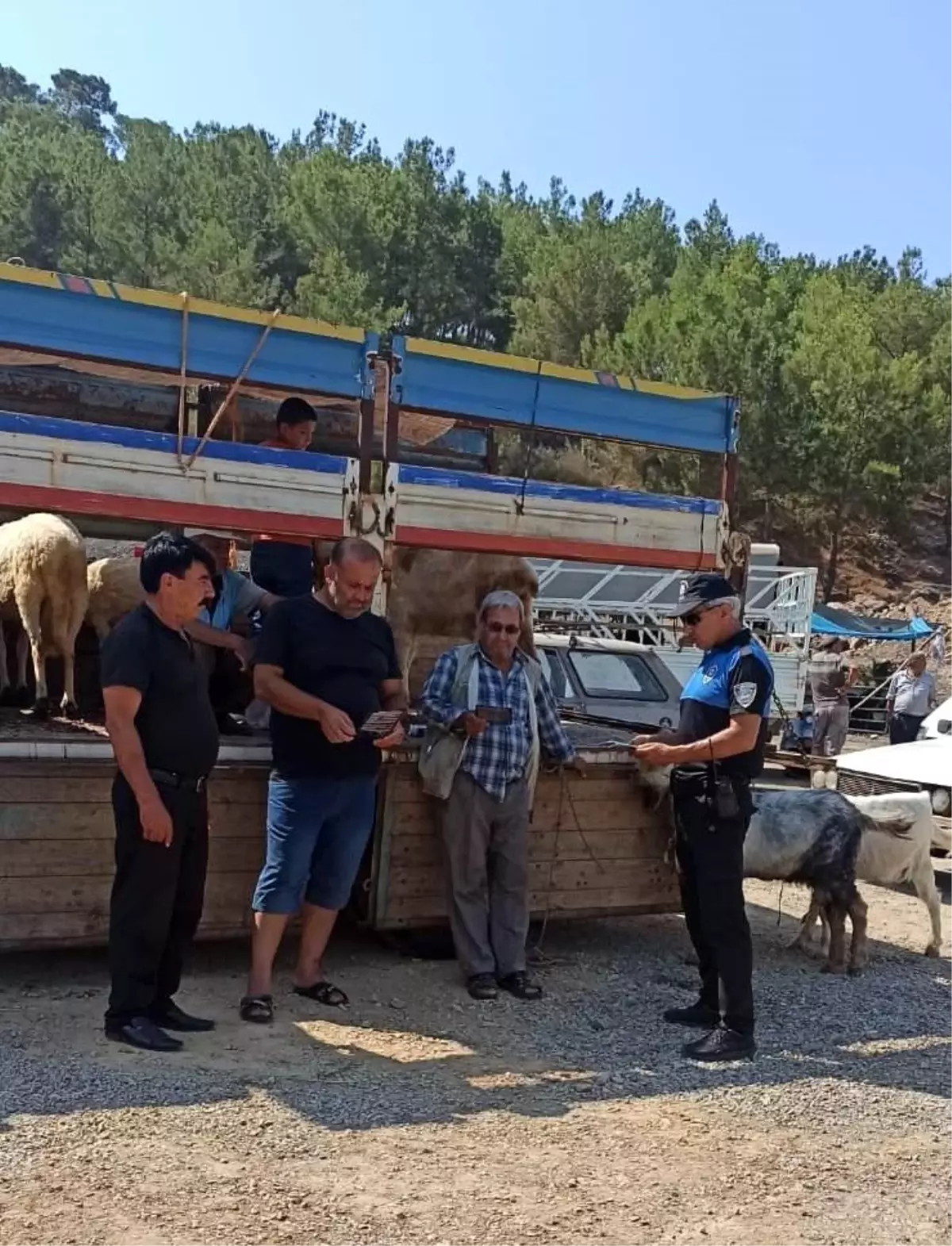 Bozyazı\'da hayvan satıcıları dolandırıcılara karşı bilgilendirildi