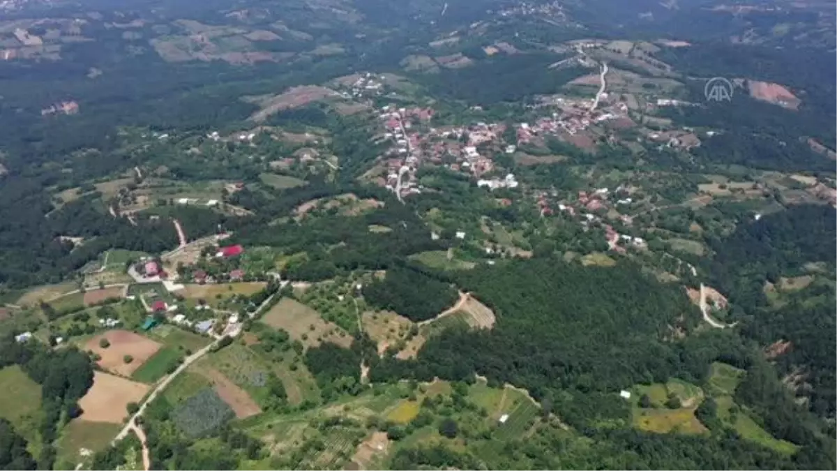 Bursa\'da ahududu üreticileri bu yıl verimden memnun