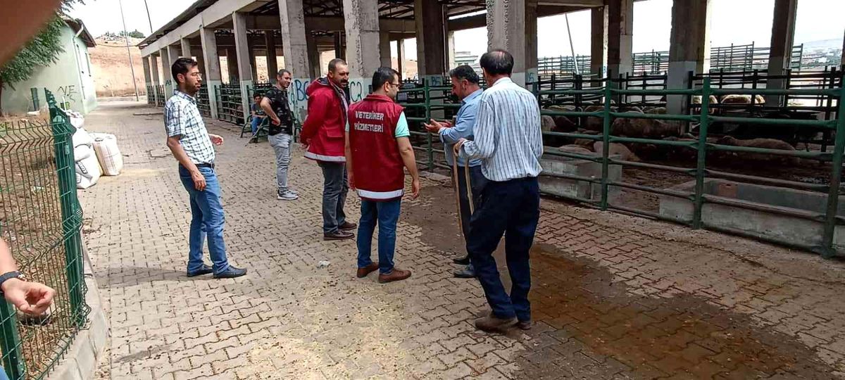 Kurban bayramı öncesi denetim yapıldı