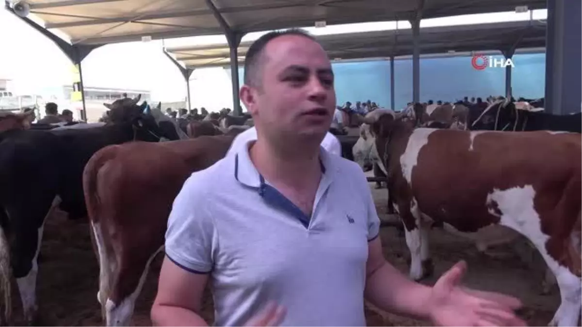 Kurban pazarında arefe yoğunluğu