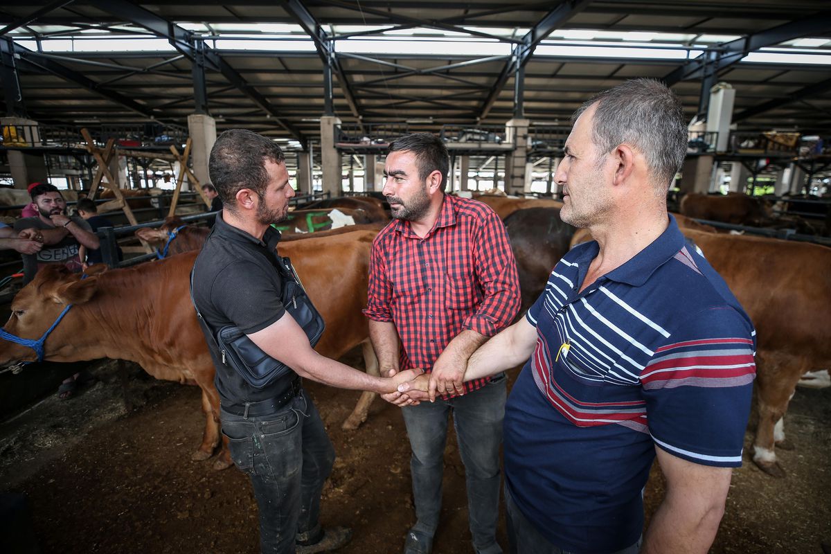 Kurban pazarlarında arife yoğunluğu yaşanıyor