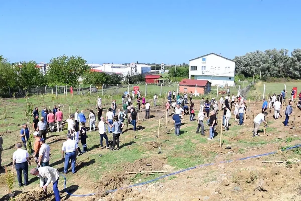 Son dakika haber: Sinop\'ta 15 Temmuz şehitleri için 251 fidan toprakla buluşturuldu