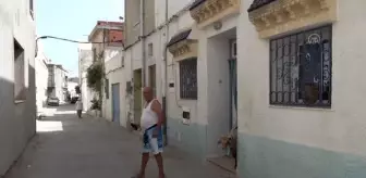 Tunuslu Fevzi ile koyun Semir'in arkadaşlığı görenleri şaşırtıyor