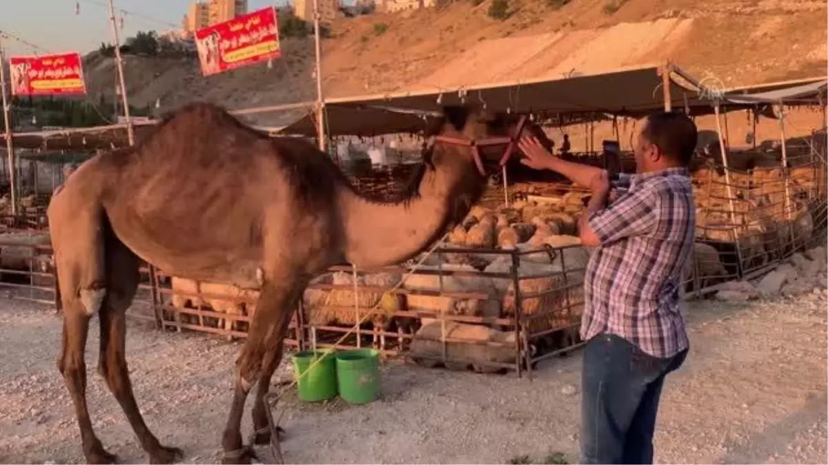 Ürdün\'de Kurban Bayramı hazırlıkları