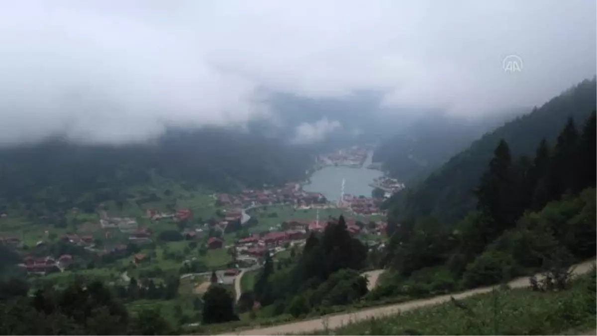 Uzungöl, Kurban Bayramı tatilini tam dolu geçirecek