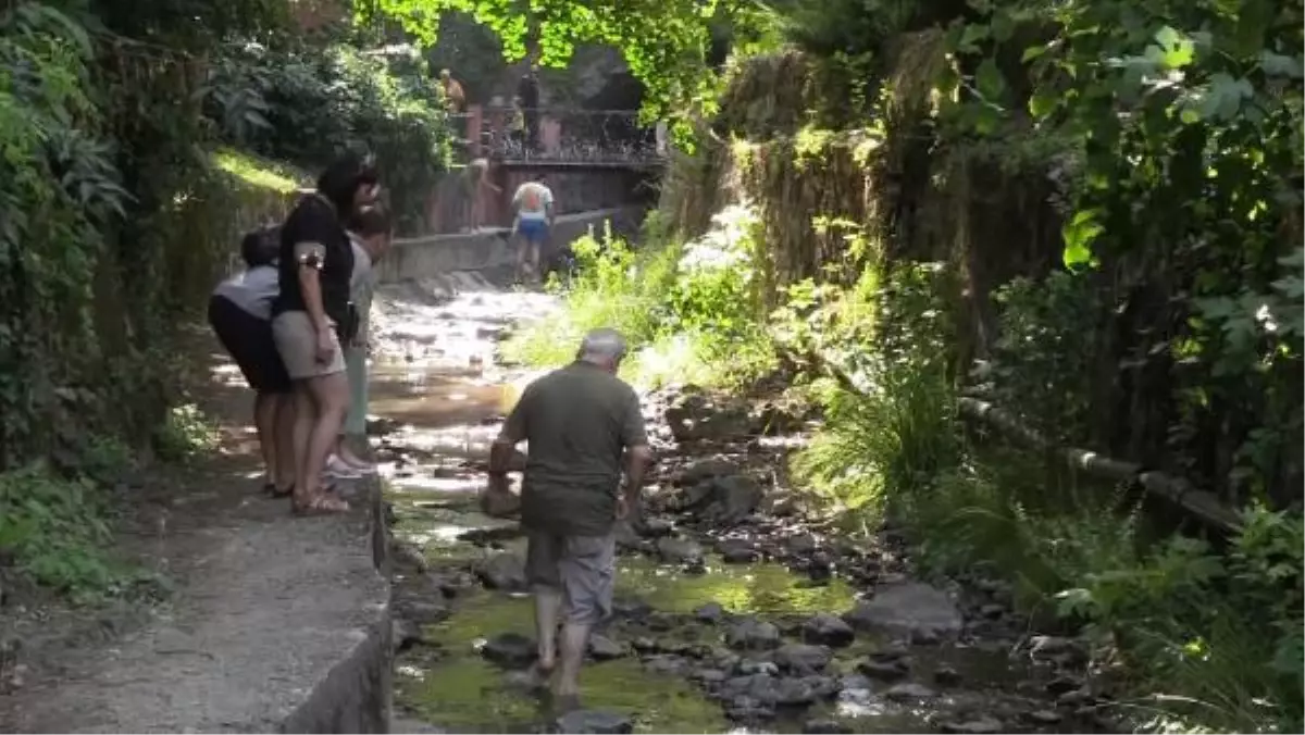 7 bin nüfuslu Termal, bayram tatilinde 300 bin kişiyi ağırlayacak