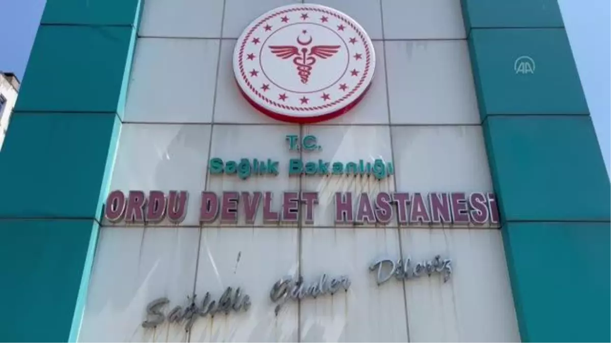 "Acemi kasaplar" hastanelik oldu