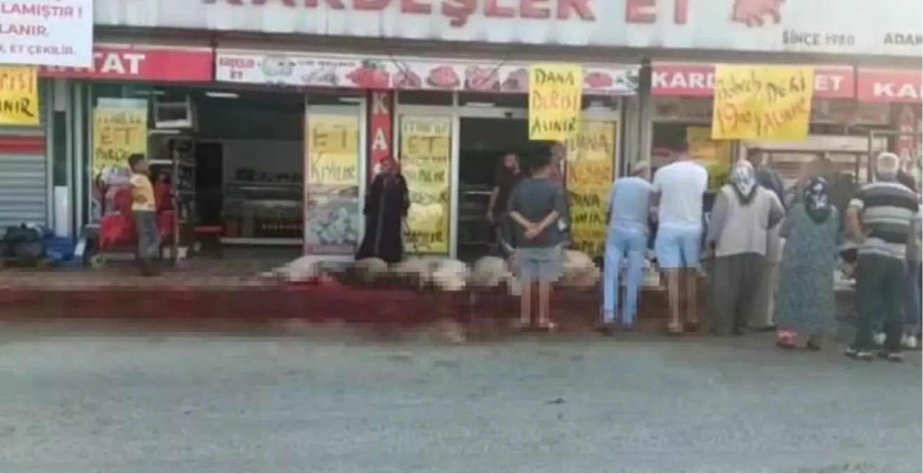 ADANA\'DA BAZI VATANDAŞLAR, KURBANLARINI SOKAKLARDA KESTİ