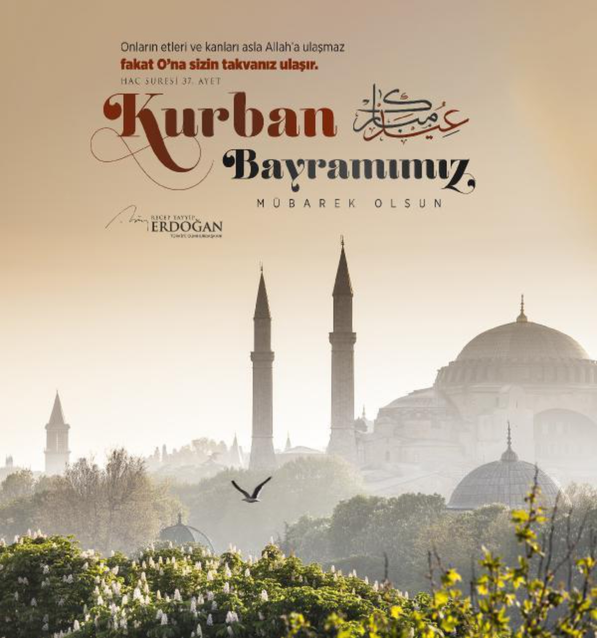 CUMHURBAŞKANI ERDOĞAN:  KURBANLARIMIZIN KURTULUŞA VESİLE OLMASINI DİLİYORUM