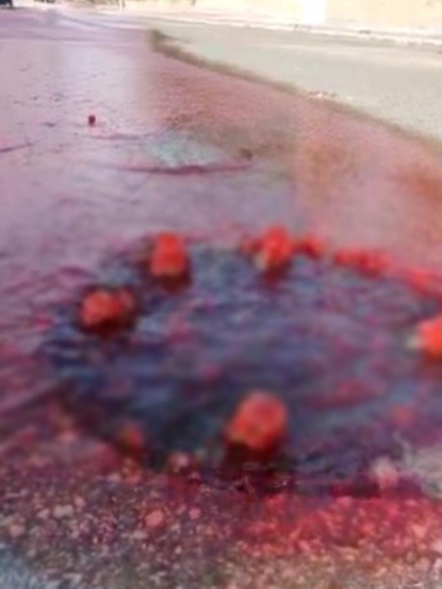 Eskişehir'de rögar kapağından akan kanlar asfaltı kırmızıya bürüdü Eskişehir'de rögar kapağından akan kanlar asfaltı kırmızıya bürüdü