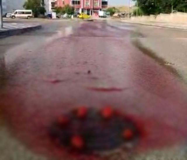 Eskişehir'de rögar kapağından akan kanlar asfaltı kırmızıya bürüdü Eskişehir'de rögar kapağından akan kanlar asfaltı kırmızıya bürüdü