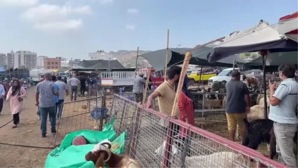 Hayvan pazar yerlerinde bayramın ilk günü yoğunluk sürüyor