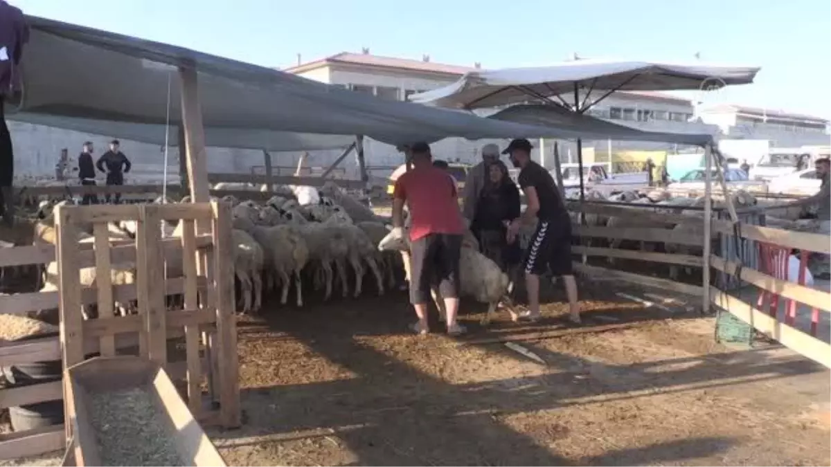 Niğde\'de hayvan pazarında bayramda da hareketlilik devam ediyor