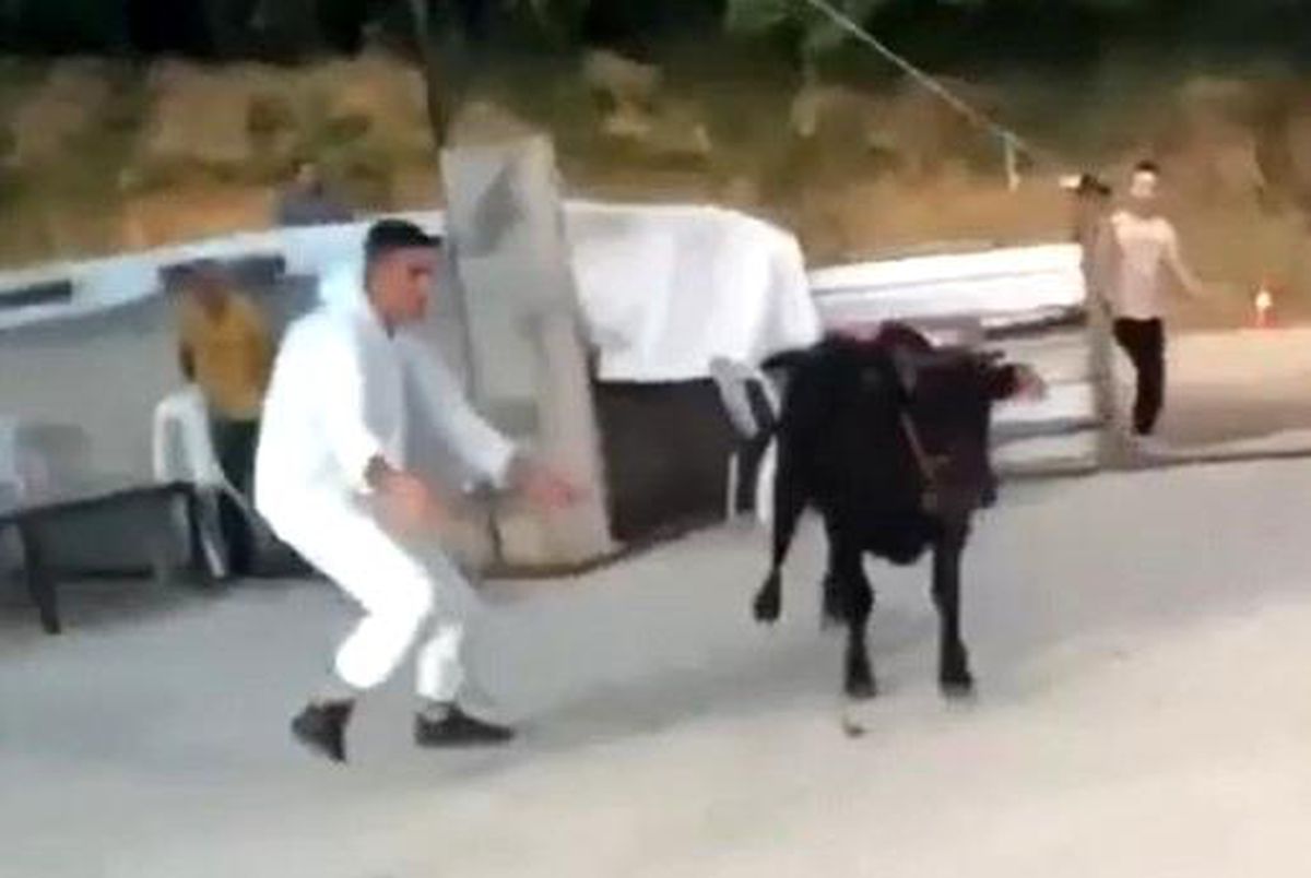 Kaçan kurbanlıklar hem sahiplerine, hem vatandaşlara zor anlar yaşattı