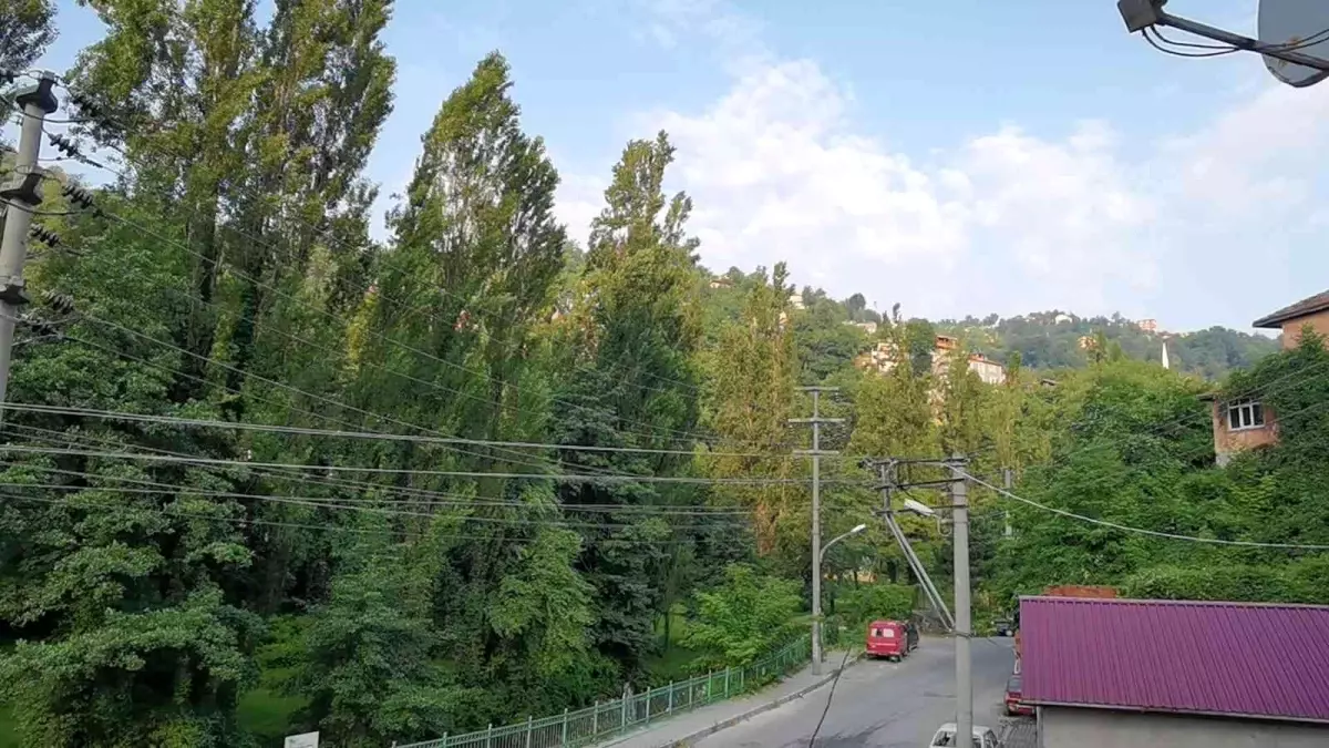 Son dakika haberleri... Zonguldak\'ta Kurban Bayramı sabahı silah atma geleneği bu yıl da sürdü