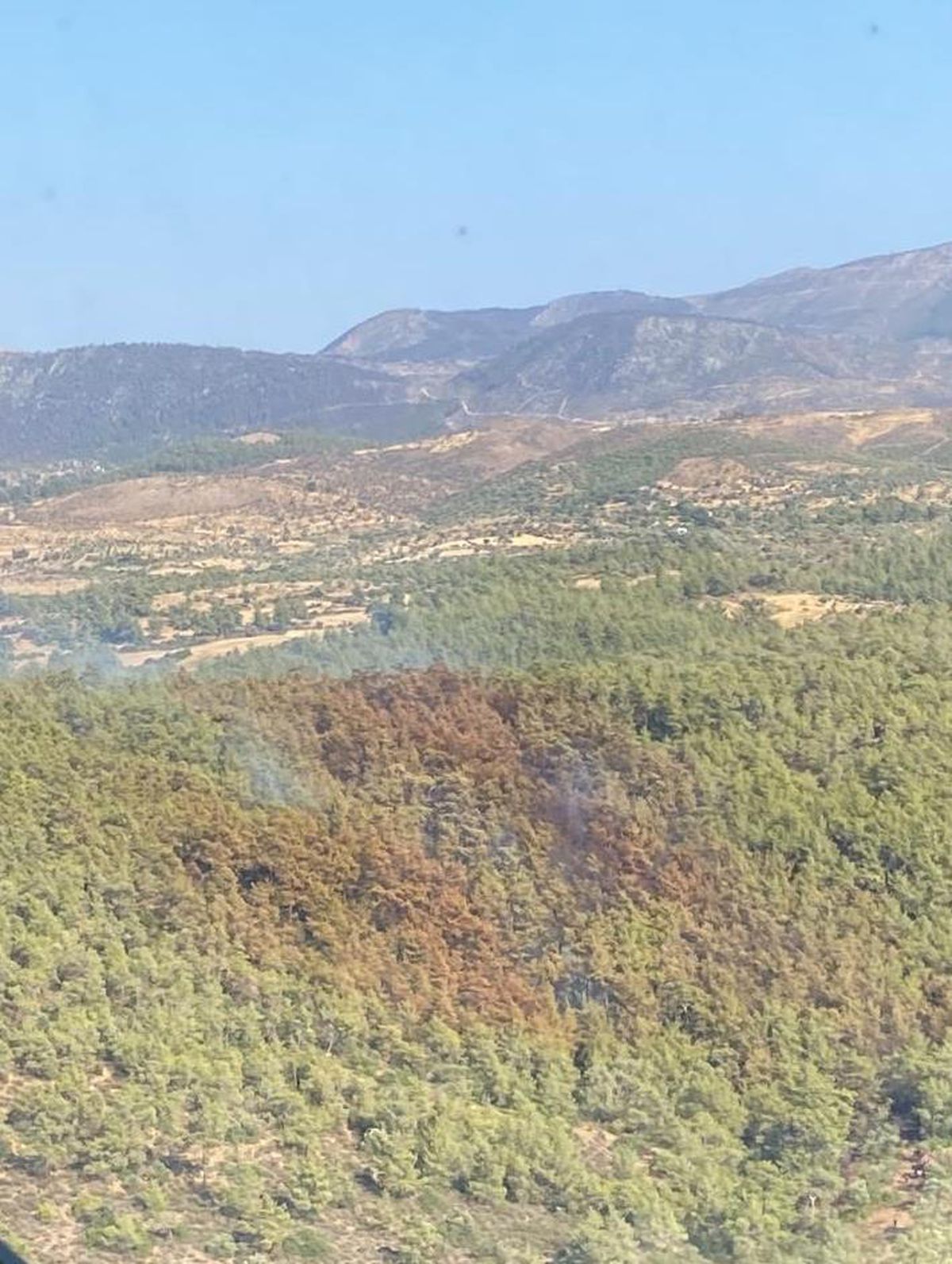 Bodrum\'da ormanlık alanda çıkan yangın söndürüldü